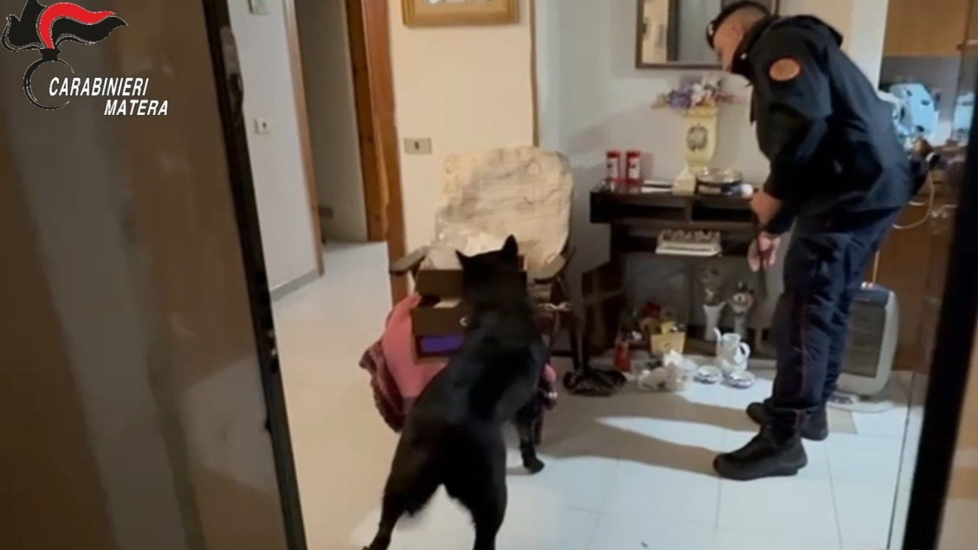 Droga, maxi-blitz dei carabinieri nel Materano