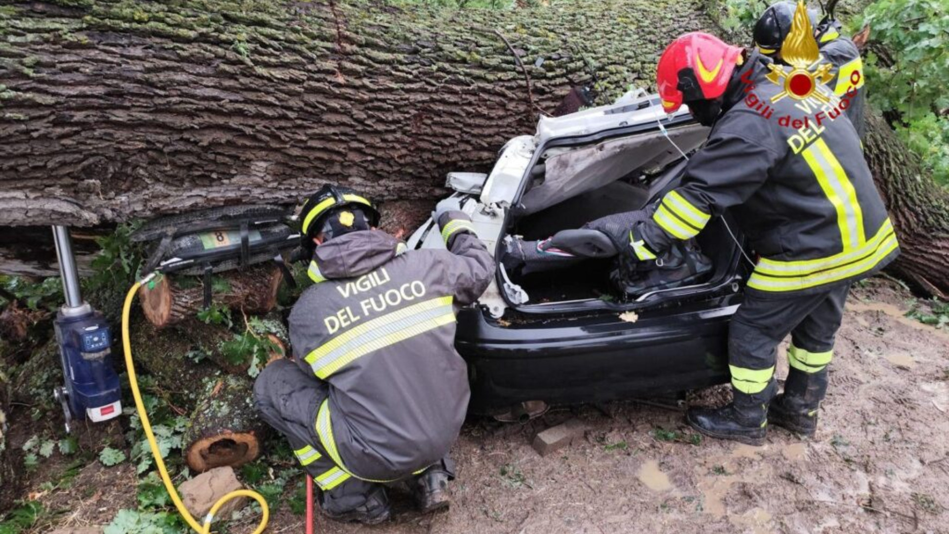 Ferrandina, quercia si abbatte su un’auto: morto un 29enne