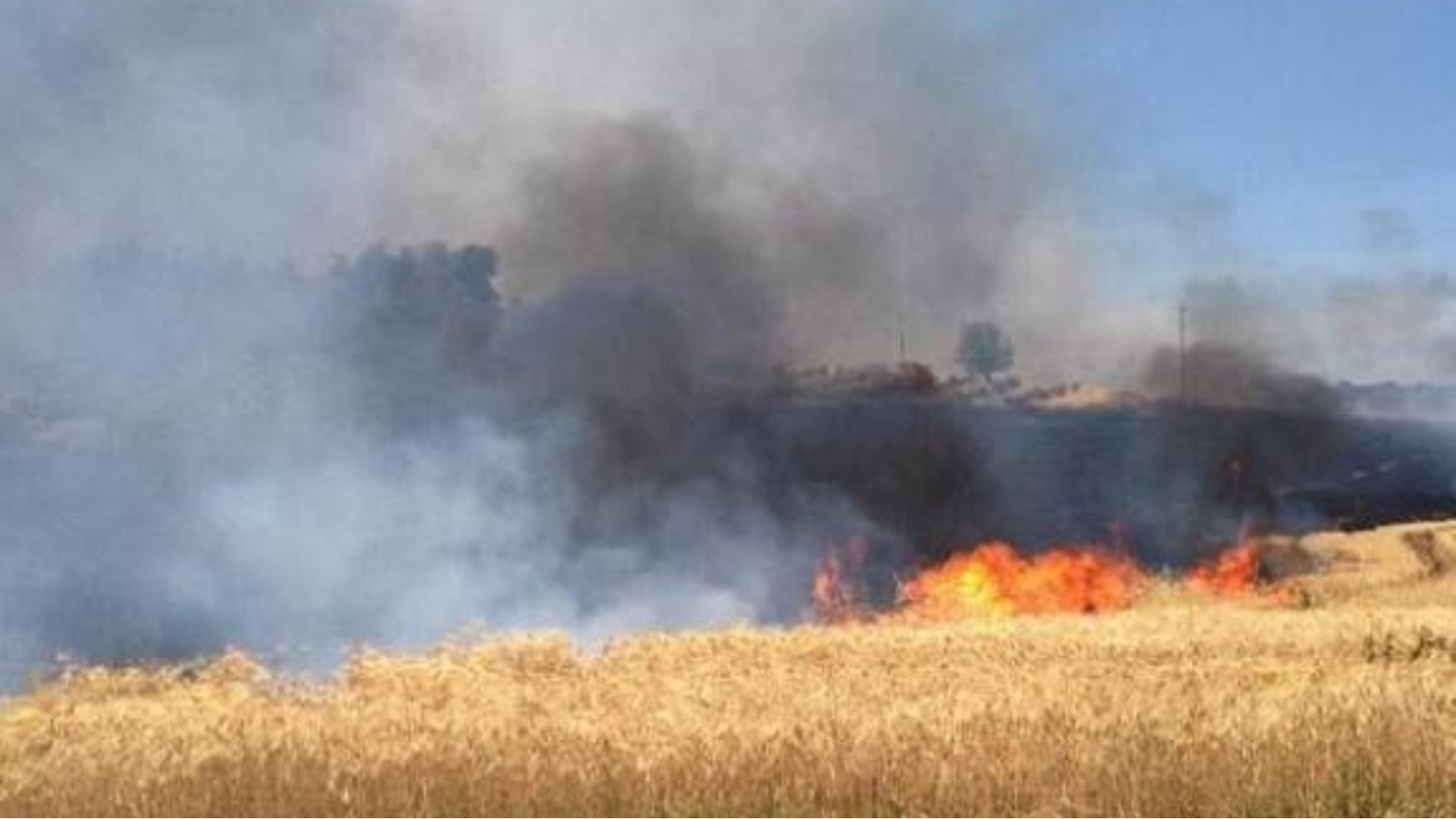 Campi di grano devastati dalle fiamme nel Materano