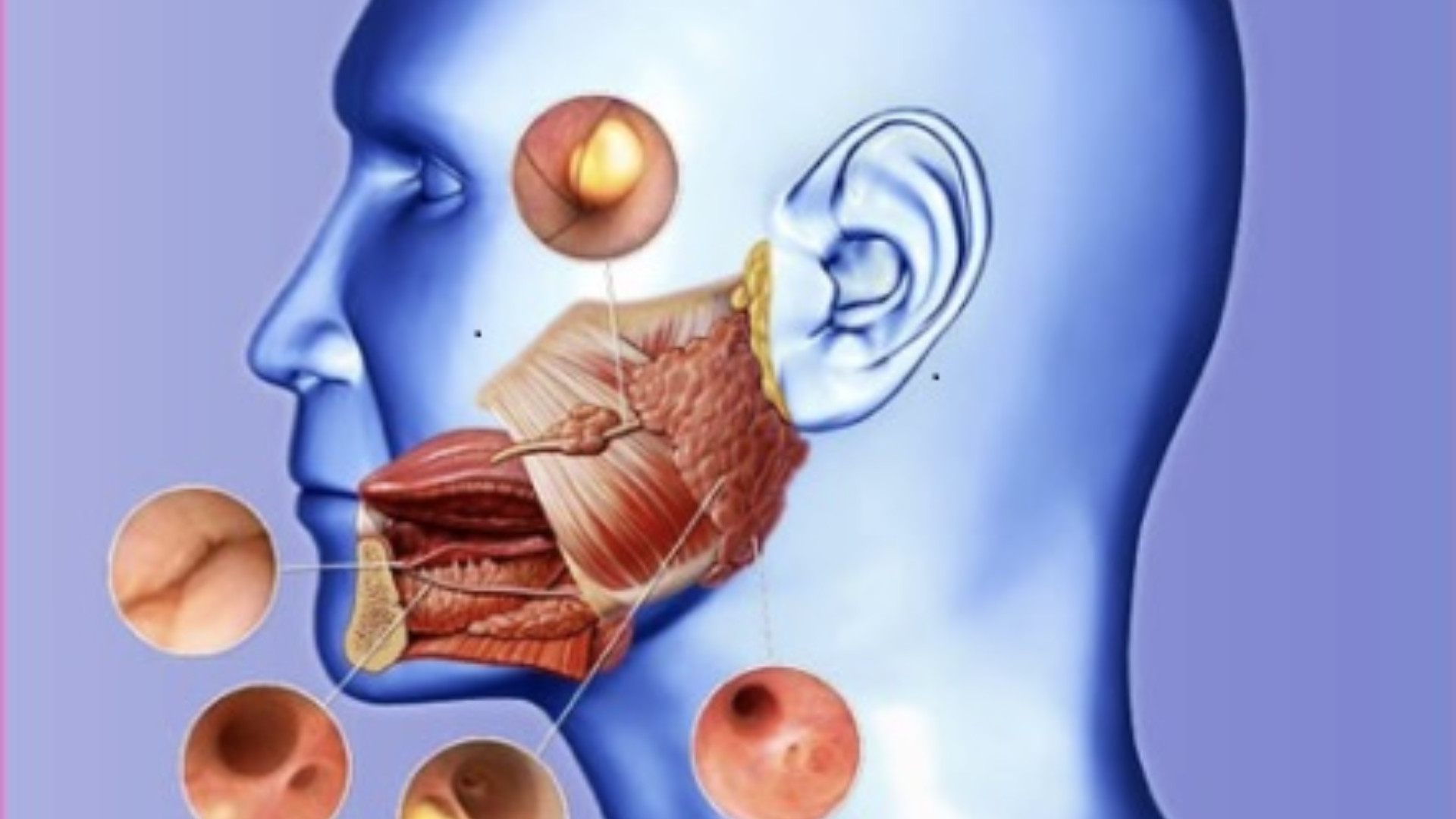 Ghiandole salivari, al San Carlo un intervento innovativo