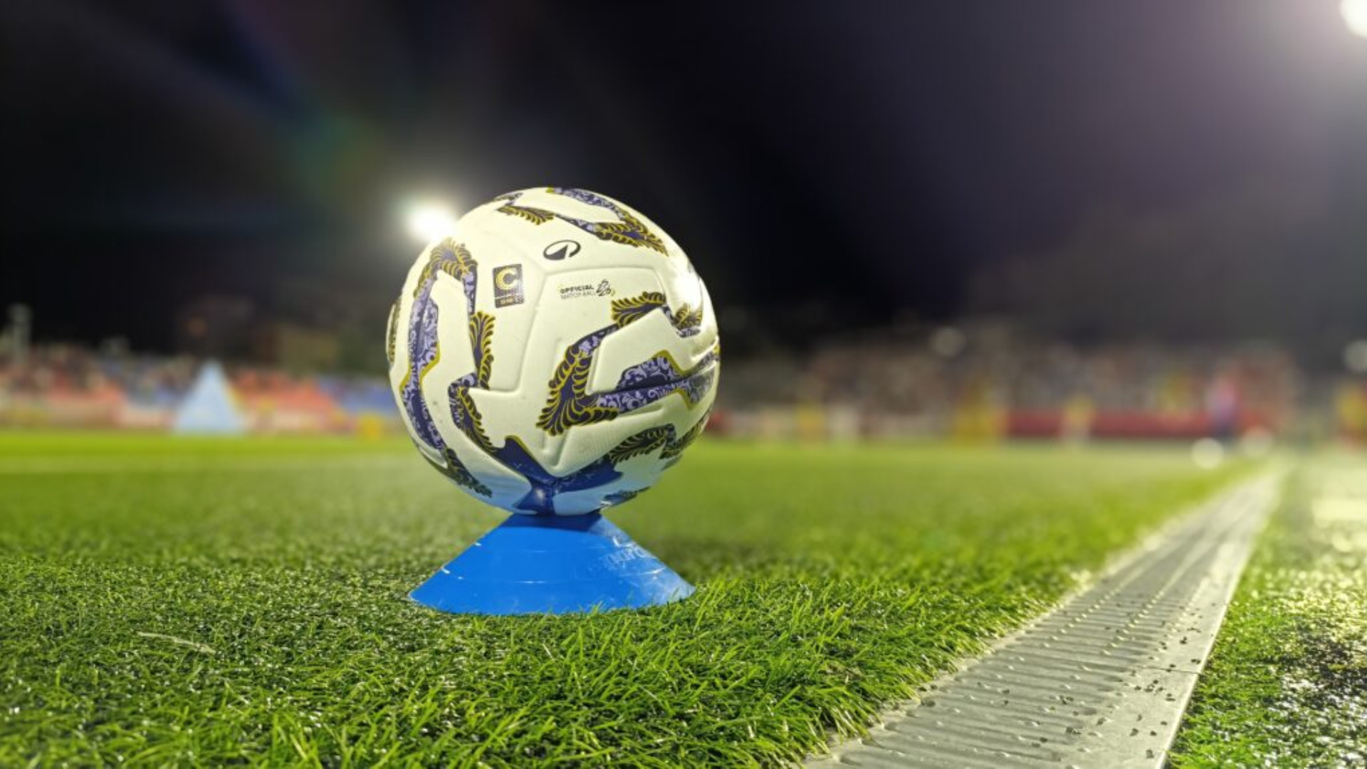 Il programma di Potenza e Picerno fino alla 16^ giornata