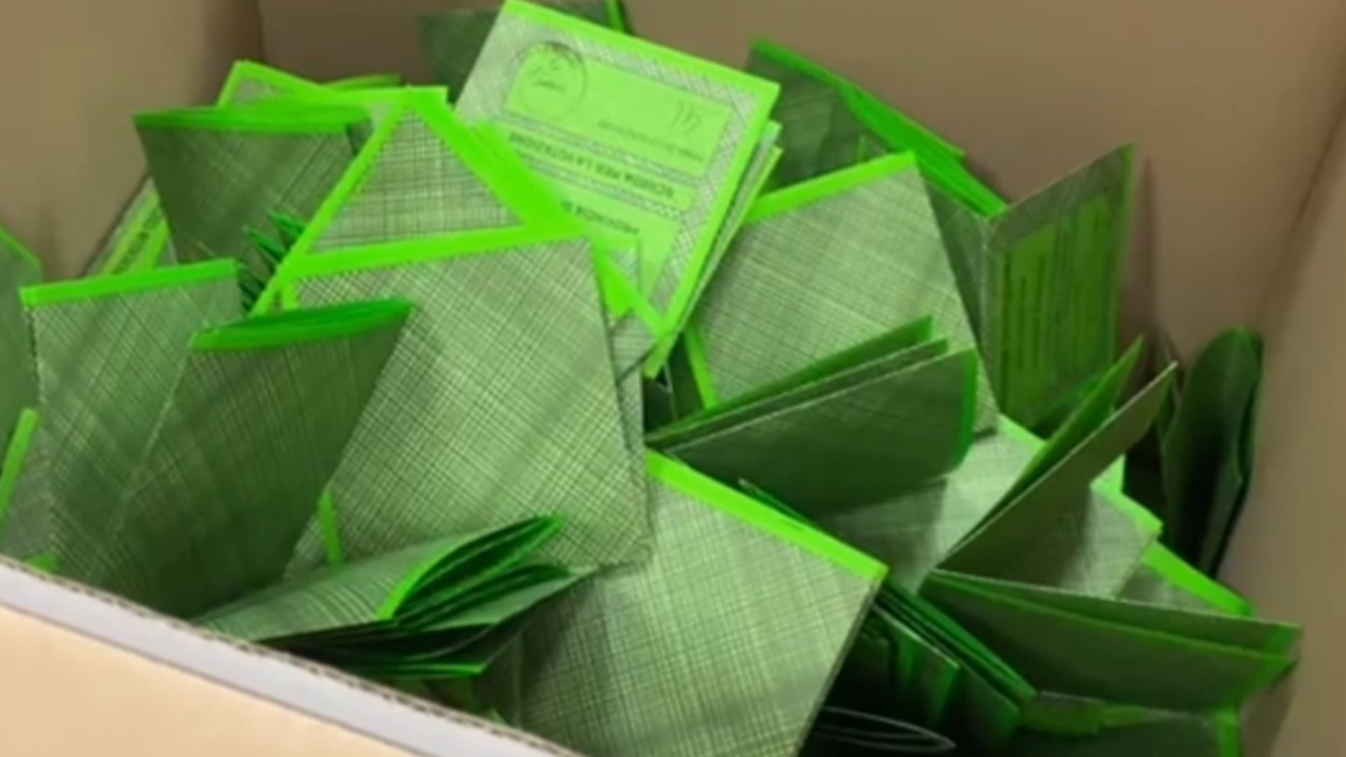 Referendum, anche i lucani bocciano la riforma sulla giustizia