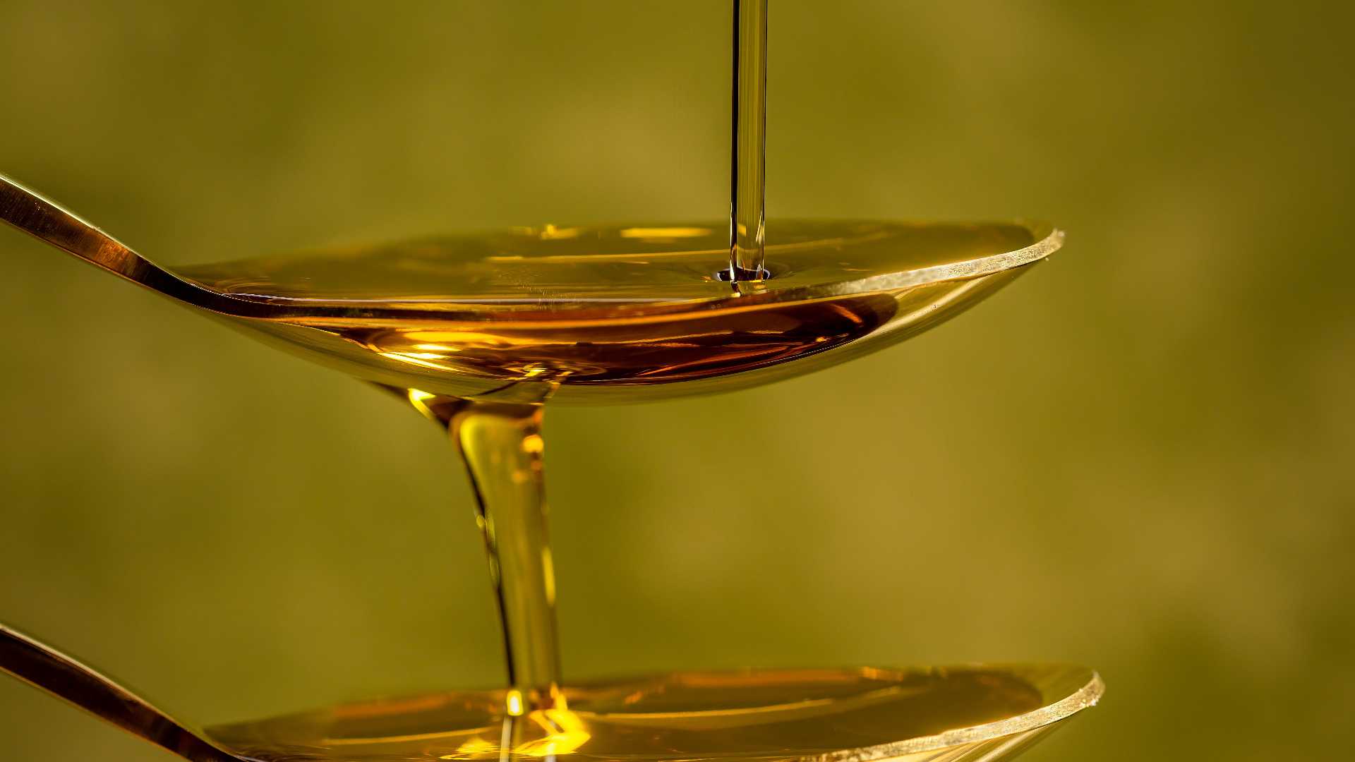 Basilicata, olio lucano ambasciatore del territorio