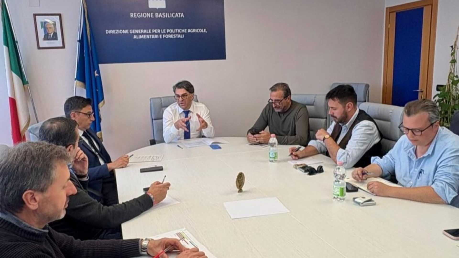 Forestali in Basilicata: 9 milioni per gli stipendi
